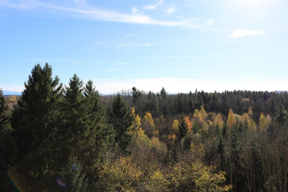 Ausblick Etagenwohnung Kaufbeuren