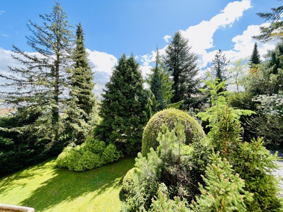 eingewachsener Garten Einfamilienhaus Kaufbeuren