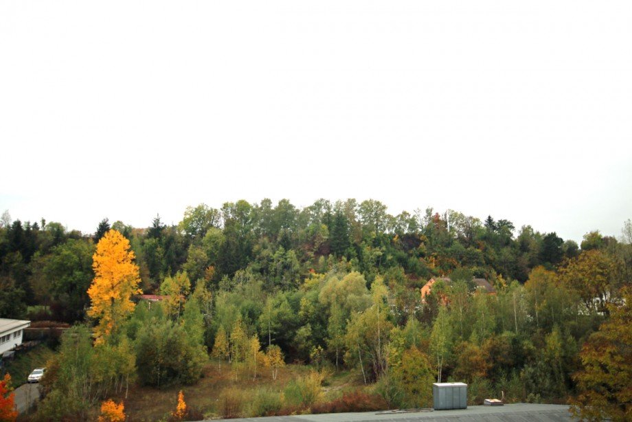 Blick Wohnzimmer Dachgeschosswohnung Kaufbeuren