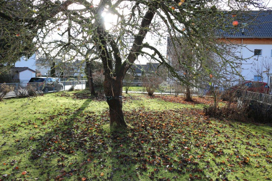 Garten Doppelhaush�lfte Mauerstetten