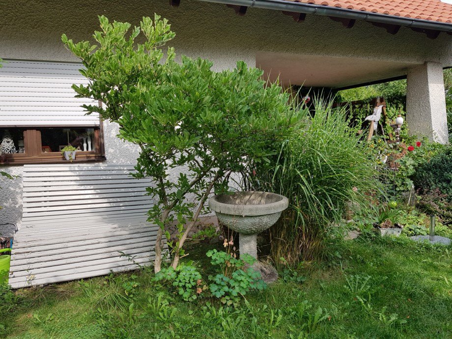 es gr�nt so......... Einfamilienhaus Baisweil