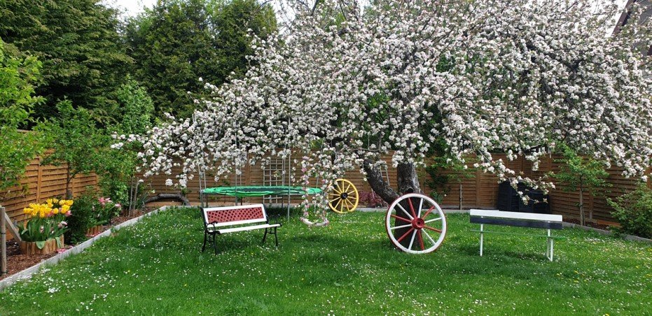 Garten Hinten Mehrfamilienhaus Kaufbeuren