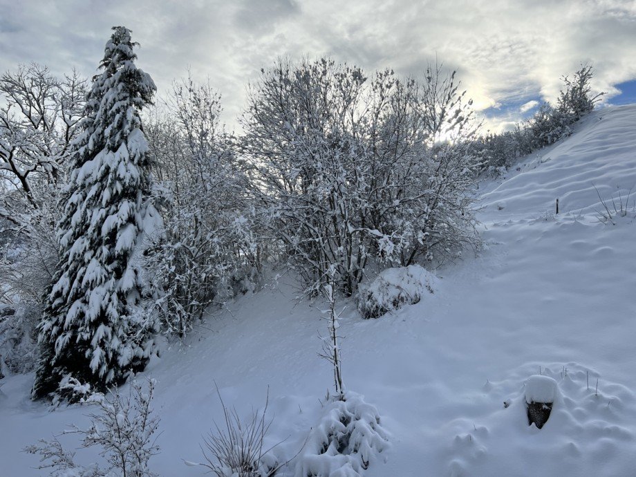 Blick vom Balkon Etagenwohnung Kaufbeuren