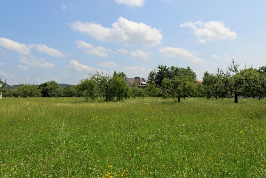 Ausblick Ost Doppelhaush�lfte Ottobeuren
