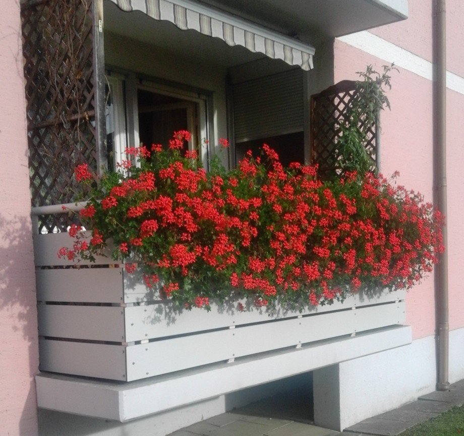 Balkon im Sommer Erdgeschosswohnung Kaufbeuren
