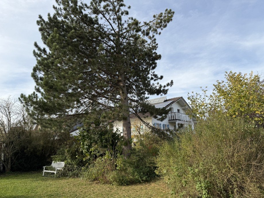Garten Doppelhaush�lfte Osterzell