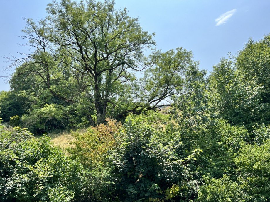 Blick vom Balkon Etagenwohnung Kaufbeuren