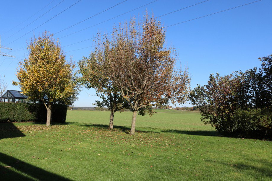 Blick ins Gr�ne Einfamilienhaus Pforzen