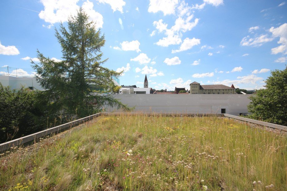 Blick vom Esszimmer Etagenwohnung Kaufbeuren