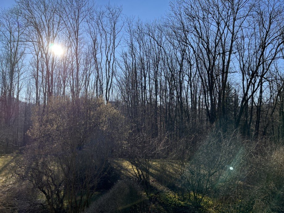 Aussicht Etagenwohnung Kaufbeuren